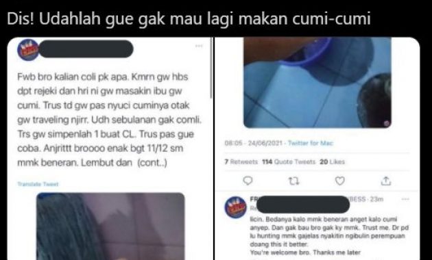 Viral Pembahasan Cumi Cumi Dan Kangkung Di Twitter Seobaru Com